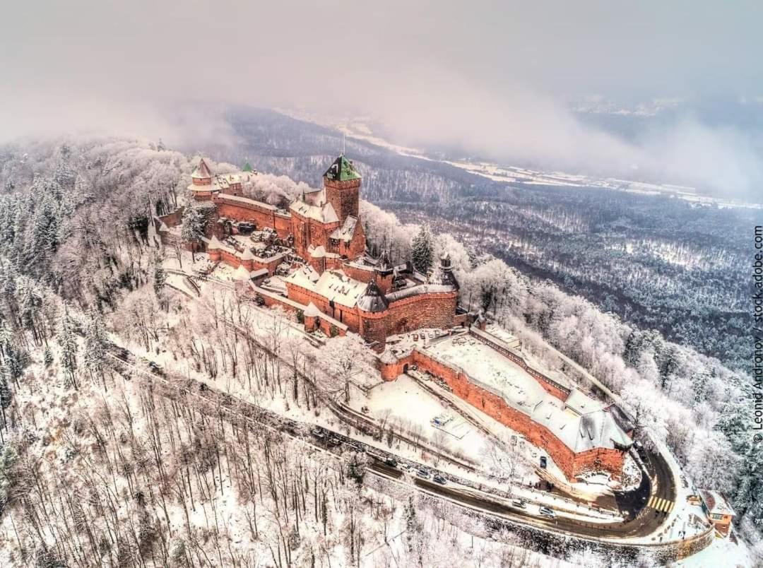 Apartament La Tour Des Chevaliers Sélestat Zewnętrze zdjęcie