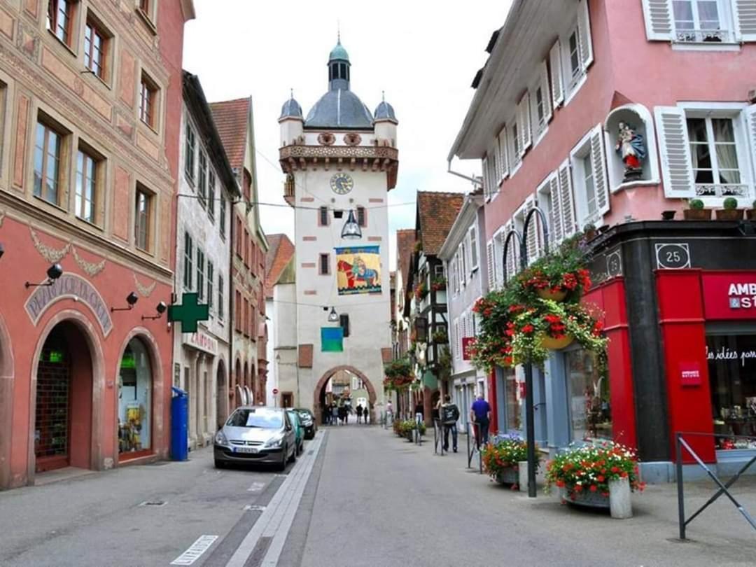 Apartament La Tour Des Chevaliers Sélestat Zewnętrze zdjęcie